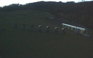 Ski Areál Opálená - Ski Areál Opálená - 29.10.2025 v 16:57 Ski Areál Opálená - Ski Areál Opálená - 29.10.2025 v 16:57