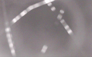 Ski Areál Opálená - Ski Areál Opálená - 29.10.2025 v 17:29 Ski Areál Opálená - Ski Areál Opálená - 29.10.2025 v 17:29