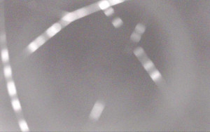 Ski Areál Opálená - Ski Areál Opálená - 29.10.2025 v 18:57 Ski Areál Opálená - Ski Areál Opálená - 29.10.2025 v 18:57