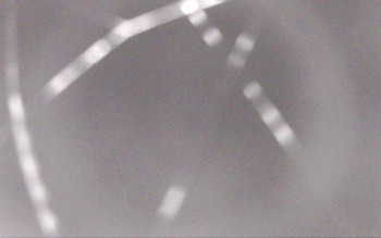 Snímek    29.10.2025 v 21:29