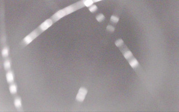 Snímek    29.10.2025 v 22:13