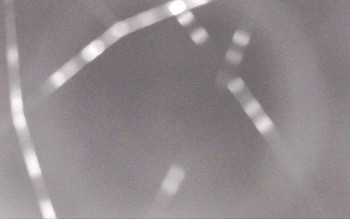 Snímek    29.10.2025 v 23:13