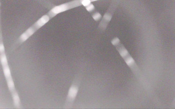 Snímek    30.10.2025 v 04:13