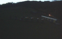 Ski Areál Opálená