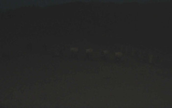 Snímek    1.11.2025 v 05:57