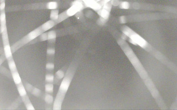 Snímek    2.11.2025 v 04:29