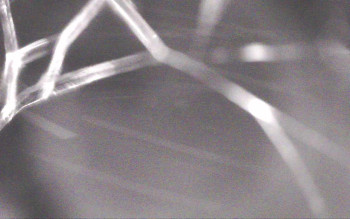 Snímek    3.11.2025 v 05:41