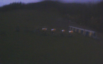 Snímek    3.11.2025 v 16:41