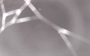 Ski Areál Opálená - Ski Areál Opálená - 4.11.2025 v 00:41