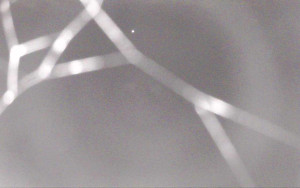 Ski Areál Opálená - Ski Areál Opálená - 4.11.2025 v 00:57