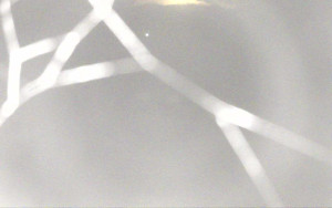 Ski Areál Opálená - Ski Areál Opálená - 4.11.2025 v 02:41