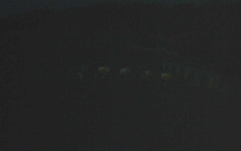 Snímek    4.11.2025 v 05:57