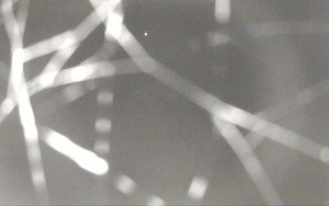 Ski Areál Opálená - Ski Areál Opálená - 6.11.2025 v 02:13 Ski Areál Opálená - Ski Areál Opálená - 6.11.2025 v 02:13