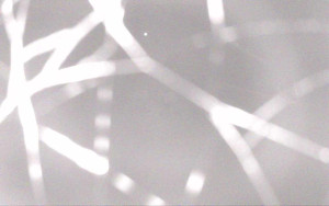 Ski Areál Opálená - Ski Areál Opálená - 6.11.2025 v 02:57 Ski Areál Opálená - Ski Areál Opálená - 6.11.2025 v 02:57