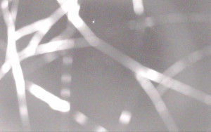 Ski Areál Opálená - Ski Areál Opálená - 6.11.2025 v 03:06 Ski Areál Opálená - Ski Areál Opálená - 6.11.2025 v 03:06