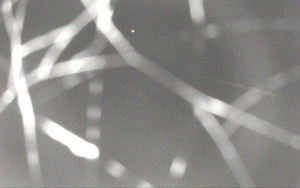 Ski Areál Opálená - Ski Areál Opálená - 6.11.2025 v 03:41 Ski Areál Opálená - Ski Areál Opálená - 6.11.2025 v 03:41