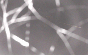 Ski Areál Opálená - Ski Areál Opálená - 6.11.2025 v 04:04 Ski Areál Opálená - Ski Areál Opálená - 6.11.2025 v 04:04