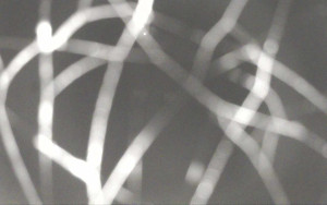 Ski Areál Opálená - Ski Areál Opálená - 6.11.2025 v 18:56 Ski Areál Opálená - Ski Areál Opálená - 6.11.2025 v 18:56