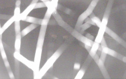 Ski Areál Opálená