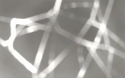 Ski Areál Opálená