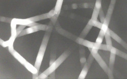 Ski Areál Opálená