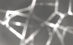 Ski Areál Opálená