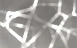 Ski Areál Opálená