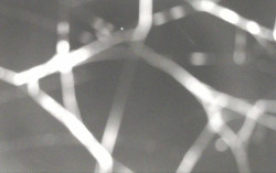 Ski Areál Opálená