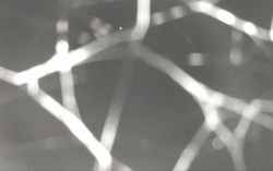 Ski Areál Opálená