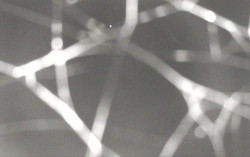 Ski Areál Opálená