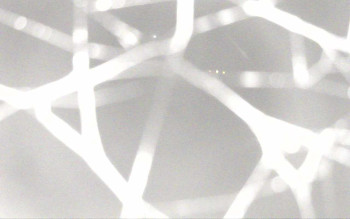 Snímek 15.11.2025 v 16:56