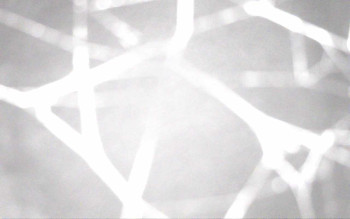 Snímek 15.11.2025 v 22:44