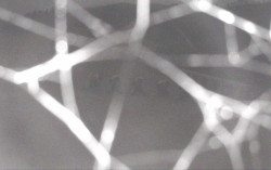 Ski Areál Opálená