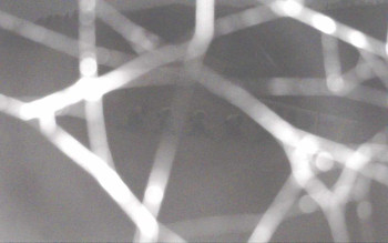 Snímek 16.11.2025 v 06:28