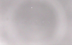 Ski Areál Opálená