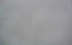 Ski Areál Opálená