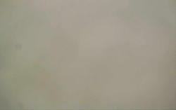 Ski Areál Opálená