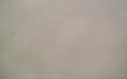 Ski Areál Opálená