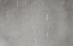 Ski Areál Opálená