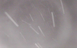 Ski Areál Opálená