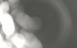 Ski Areál Opálená