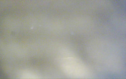 Ski Areál Opálená