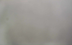 Ski Areál Opálená