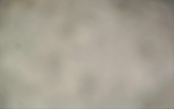 Ski Areál Opálená