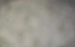 Ski Areál Opálená