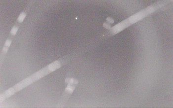 Ski Areál Opálená