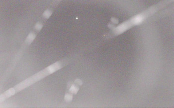 Ski Areál Opálená