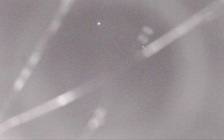 Ski Areál Opálená