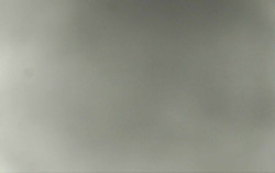 Ski Areál Opálená