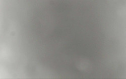 Ski Areál Opálená